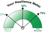 resilience_meterppt_rev2