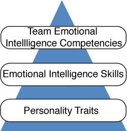 Team Emotional Intelligence Competencies